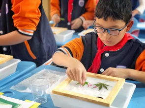 走進時光的珍藏 探秘非物質文化遺產館的展覽展示服務